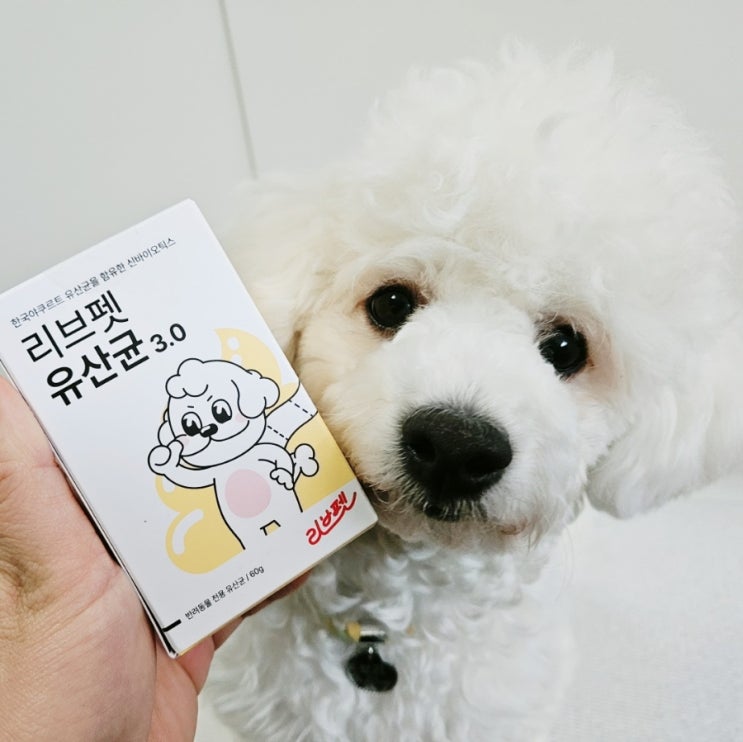  강아지 변비 영양제 리브펫 유산균 황금똥 후기