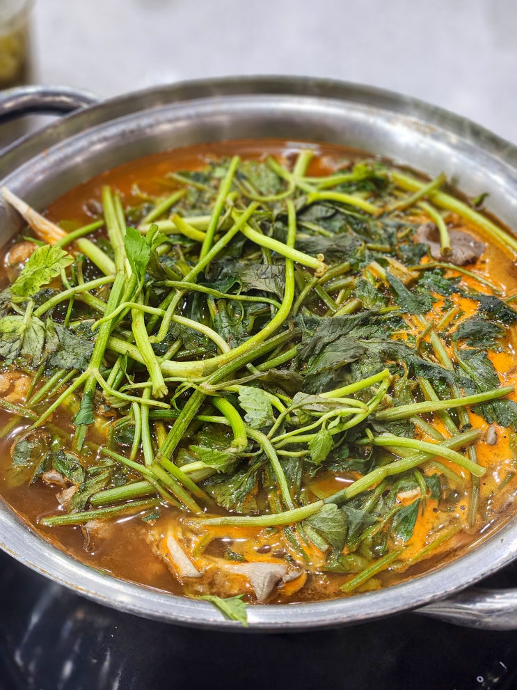  [봉덕칼국수]벚꽃구경과 얼큰한 칼국수/의왕 맛집 내돈내산