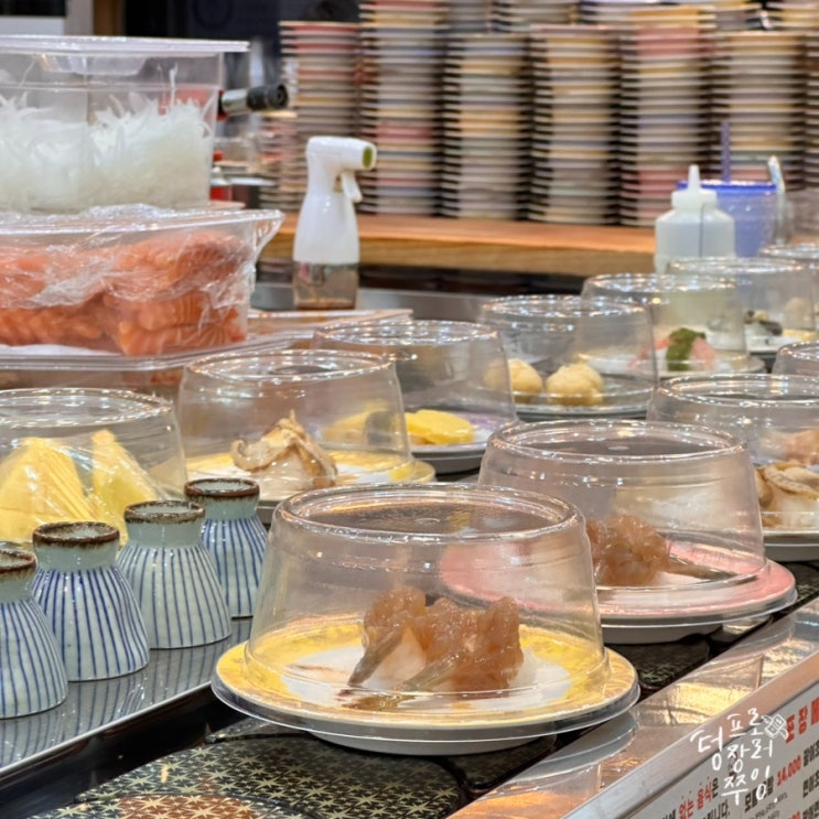  천안초밥맛집 초밥의초강수 착한 가격 백석동 회전초밥집
