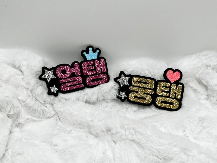  강아지 네임핀 추천 음악 방송 마이크 이름표 내돈내산