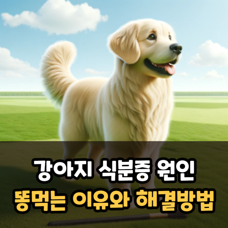  강아지 식분증 원인 똥 먹는 이유와 해결 방법