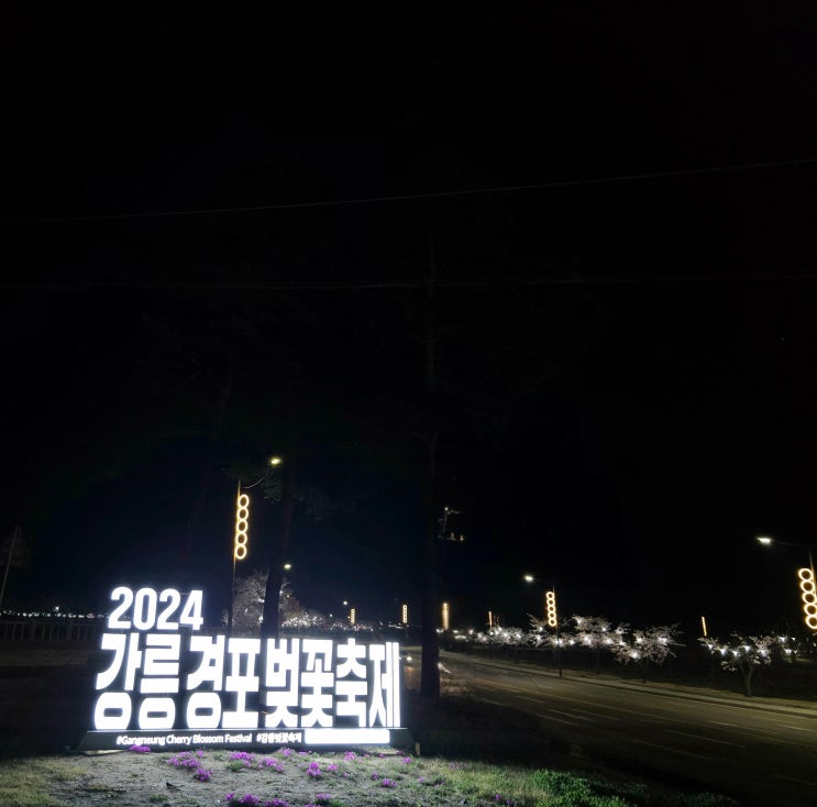  2024년 강릉 경포 벚꽃 축제 마지막날 (4월 10일) 현황 및 영상
