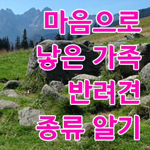  반려동물 인구 , 반려동물관리사 자격증 온라인으로 간단히 학습 및 합격과정 및 이후 전망과 취업 방법