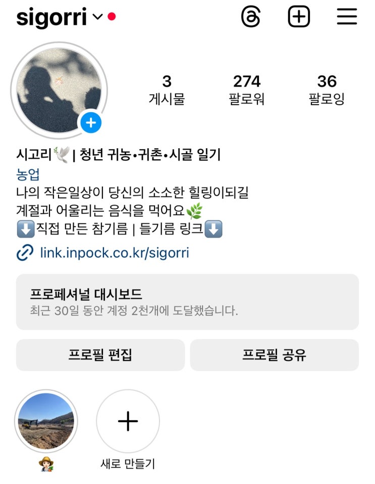  시고리 인플루언서 도전기 1K언제 되어보남
