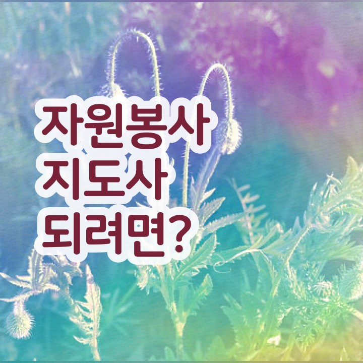  청주 자원봉사 , 자원봉사지도사 자격증 한달 만에 준비한 방법 및 전망