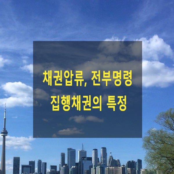  채권압류, 전부명령의 목적인 채권의 표시와 특정정도 그리고 집행채권의 특정