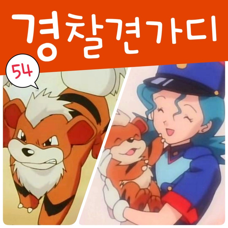  포켓몬스터 54화 여경 가디 지우 피카츄 마음이 통해요