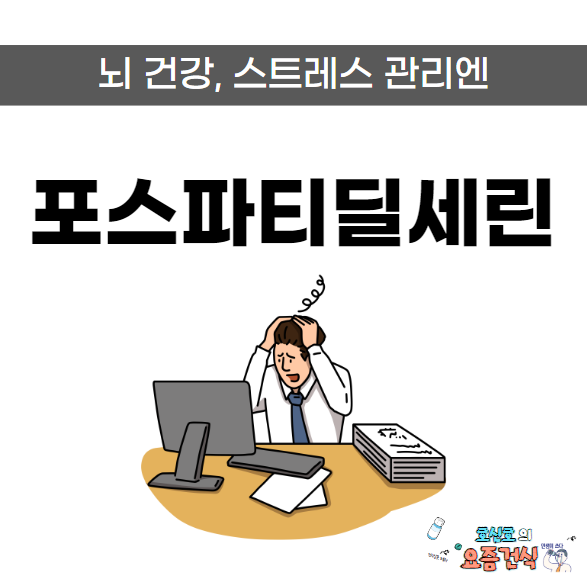  포스파티딜세린 효능 부작용 권장량 추천대상