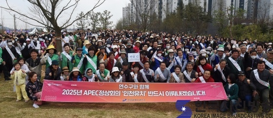 커피나무 숲 사진 1