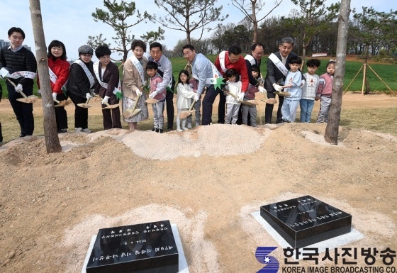 커피나무 숲 사진 3