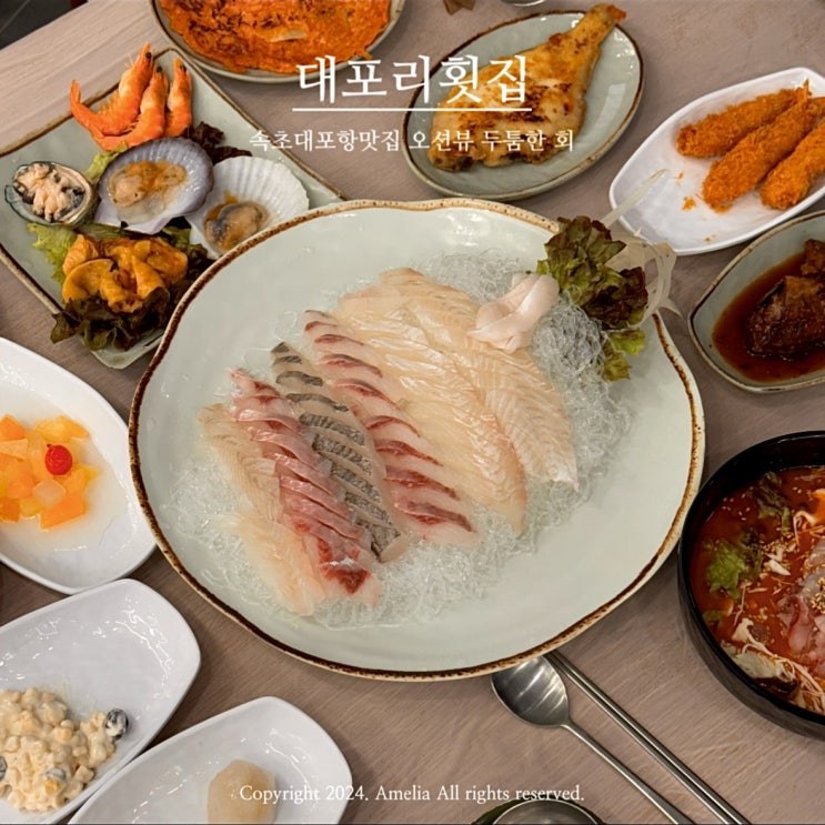  대포항 근처 속초현지인맛집 오션뷰 대포리횟집 반려견동반가능