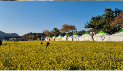 봄축제도 즐기고 국립자연휴양림 프로그램도 체험하세요