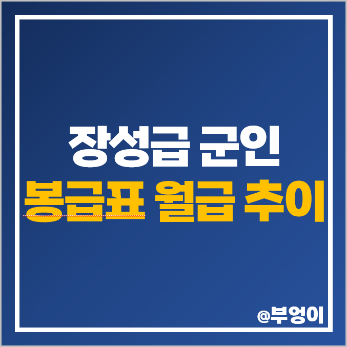 육군 장군 장성 군인 월급 추이 준장 소장 중장 대장 봉급표 육군 장군 장성 군인 월급 추이 준장 소장 중장 대장 봉급표