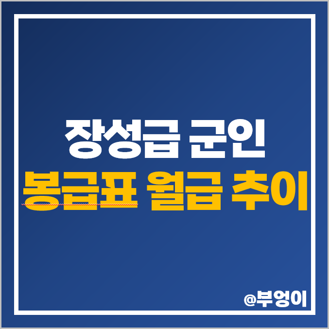 육군 장군 장성 군인 월급 추이 준장 소장 중장 대장 봉급표