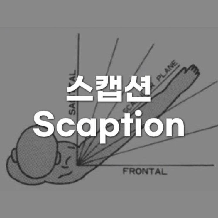  스캡션 Scaption - 팔을 머리 위로 안전히 올리는 방법