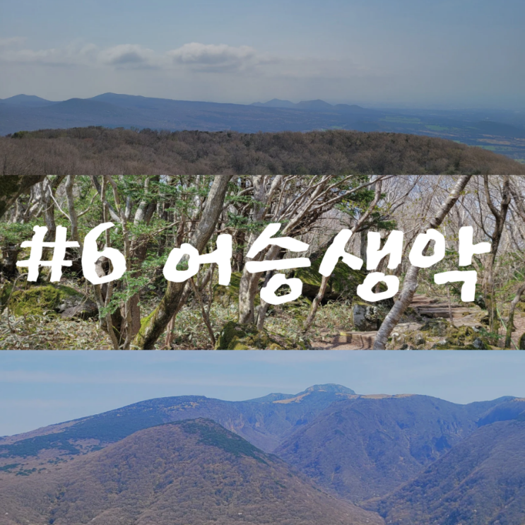  어승생악 꼭 가봐야 할 오름 한라산 탐방로 초보 코스 제주 오름 추천