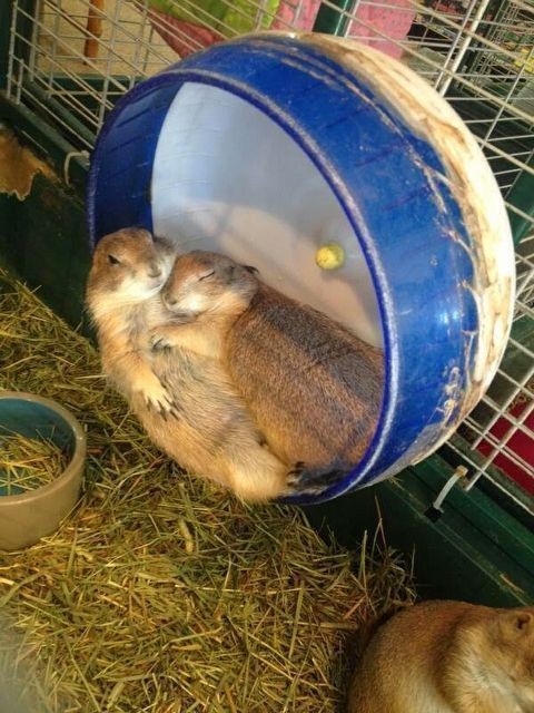  오빠 너무 좋았어
