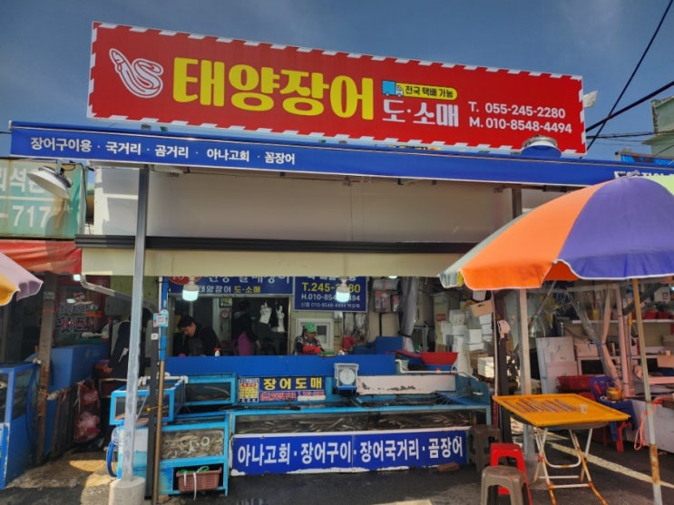  마산 어시장 태양장어 1kg 싯가