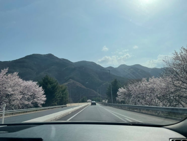 등산, 전북 무주 덕유산 향적봉, 해발 1,614m, 겨울 산행 추천, 상고대
