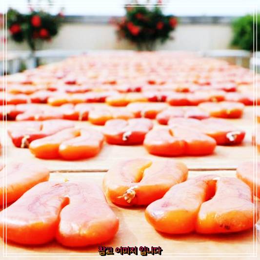  루강 대만 再烏魚子傳統製作批發 최고의 어란과 구운어란 어란즉석구이 맛집![신계숙 맛터사이클다이어리 시즌4 타이베이 타이완 소개 코너]