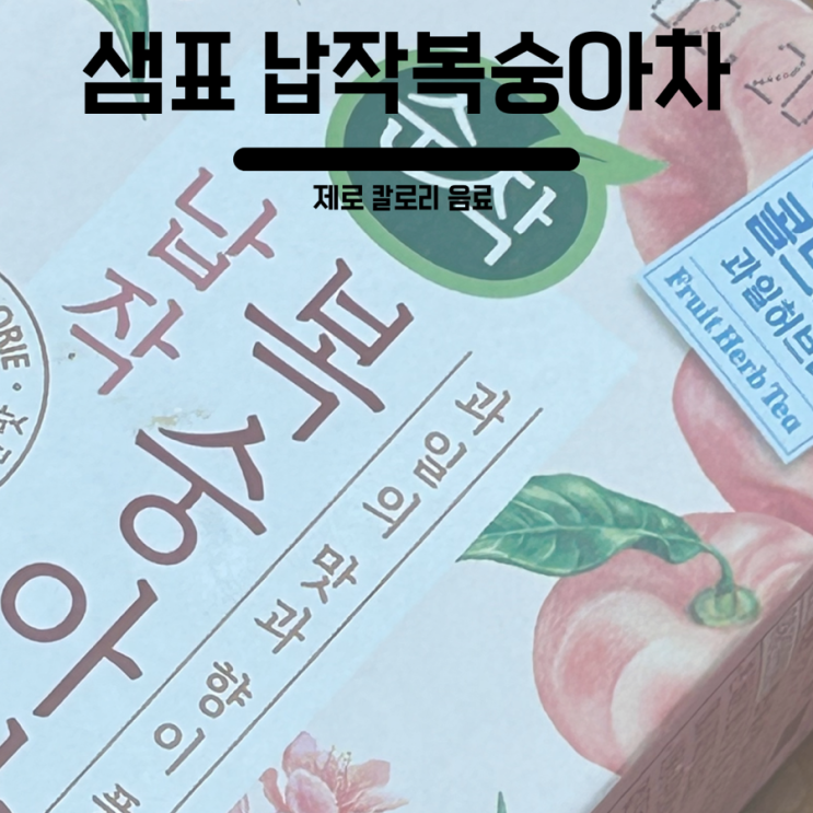  제로 음료 티백 샘표 납작복숭아차 후기