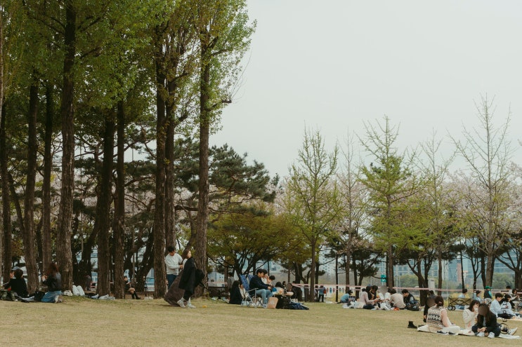  ::열여덟 번째 공원:: 한강에 있는 커다란 섬 '선유도공원'
