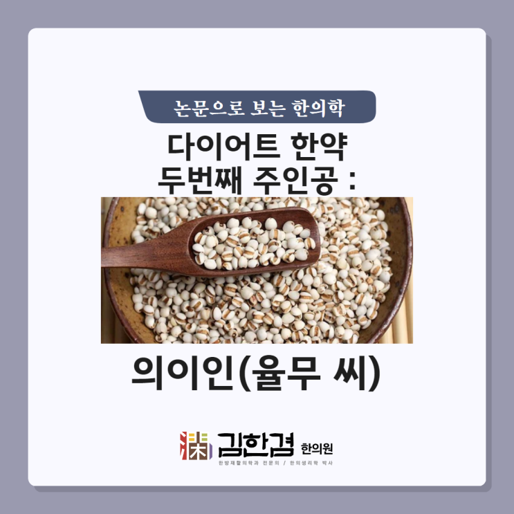 다이어트 한약, 그 두 번째 주인공 : 의이인(율무 씨)