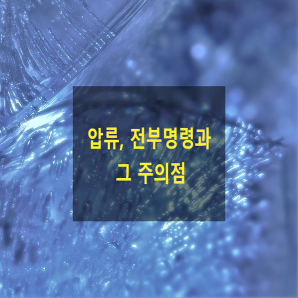  피압류채권을 다른 채권자를 배제하여 충당하는 방법(압류, 전부명령)과 그 주의점