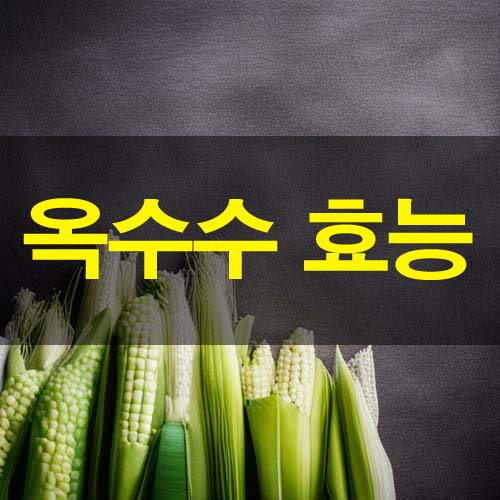  옥수수 효능과 부작용 다이어트 음식