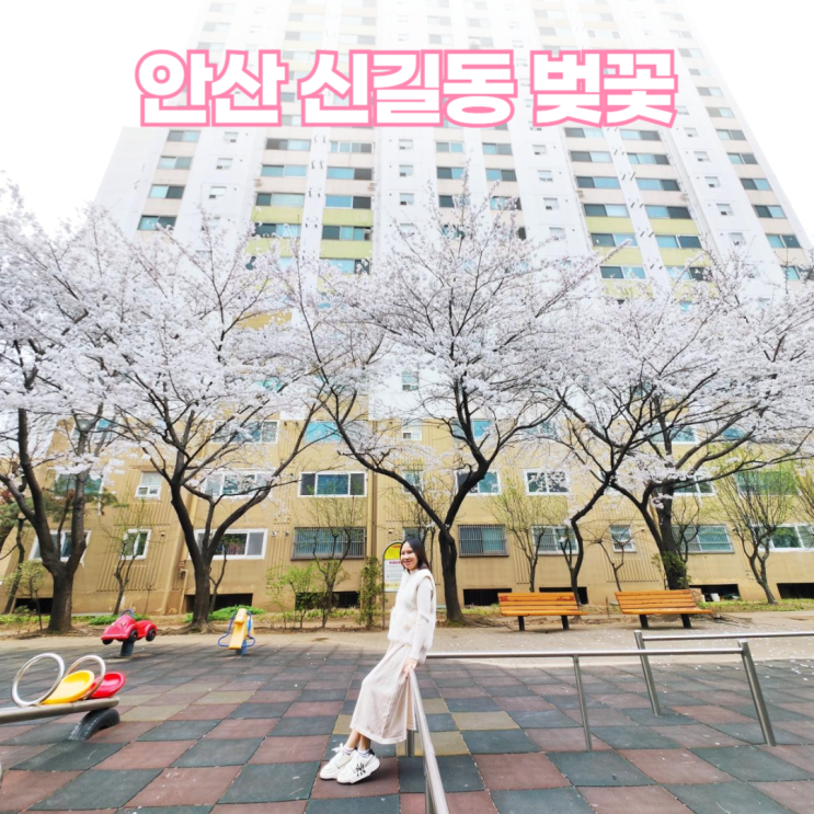 안산 신길동 삼익아파트 벚꽃 휴먼빌 놀이터 겹벚꽃 안산 신길동 삼익아파트 벚꽃 휴먼빌 놀이터 겹벚꽃