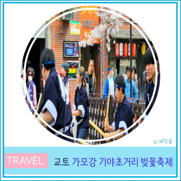  오사카 근교 교토 여행 현지인 추천 가볼 만한 곳 가모강 및 기야초 거리 벚꽃 축제