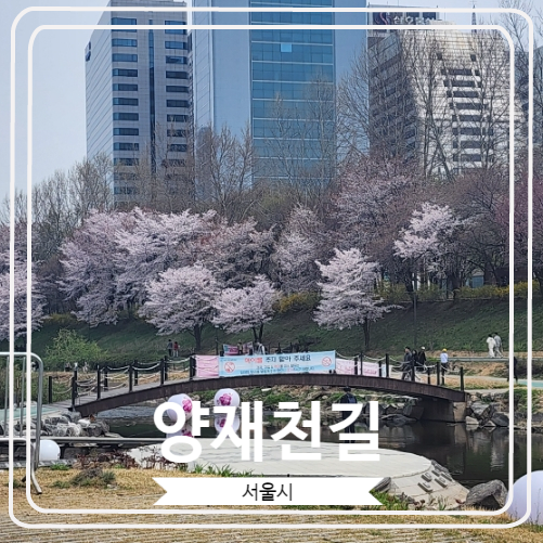 [양재천길] 2024 양재천 벚꽃 축제 무브살롱 참석 후기
