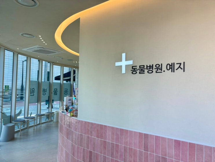  [영등포 동물병원/동물병원 예지] 강아지 건강검진 + 스케일링 후기 (내돈내산 추천)