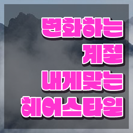  커트지도사 자격조건 , 커트지도사 자격증 활용방법 확인