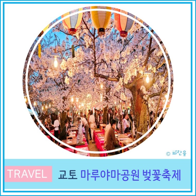  일본 오사카 근교 교토 여행 가볼 만한 곳 마루야마 공원 벚꽃 축제 라이트업