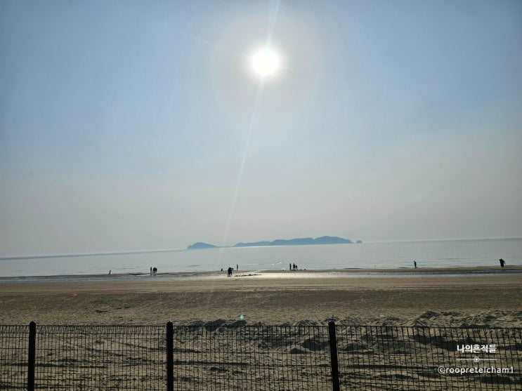  24년 첫 캠핑 완료(F.마검포힐링캠핑장 2구역)