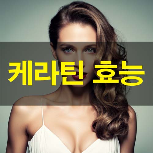  케라틴 단백질 효능과 기능성 많은음식