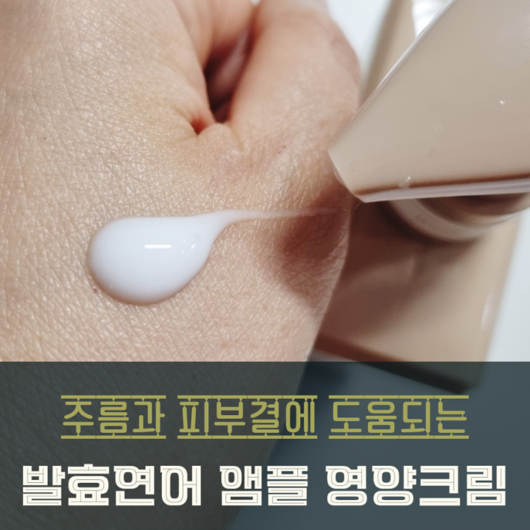  뤼산드 앰플크림 재생 연어발효 성분 피부결이 예뻐져요!