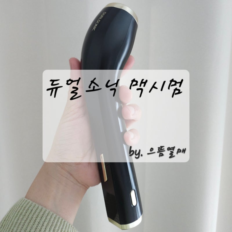 듀얼소닉 맥시멈 사용법 후기