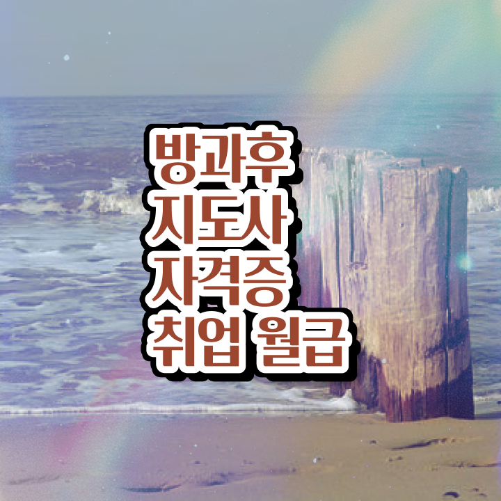  , 방과후지도사 자격증 과정 교육기관 정보 , 향후 전망