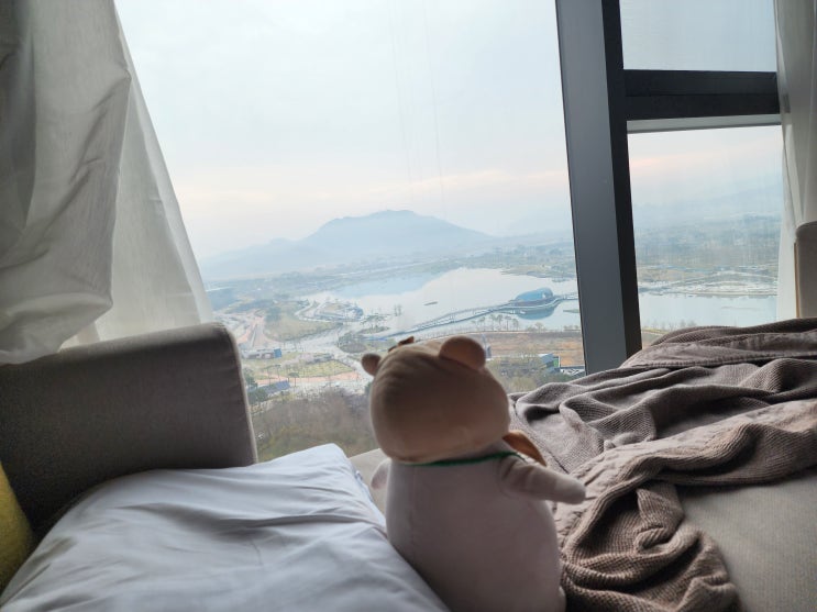  코트야드 바이 메리어트 세종여행