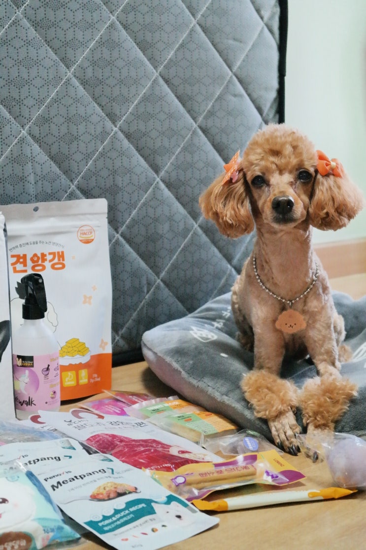  [인천] 2024 마이펫페어 송도 첫째 날 오픈런 후기/ (입장 방법, 주차요금, 부스 안내, 이벤트)