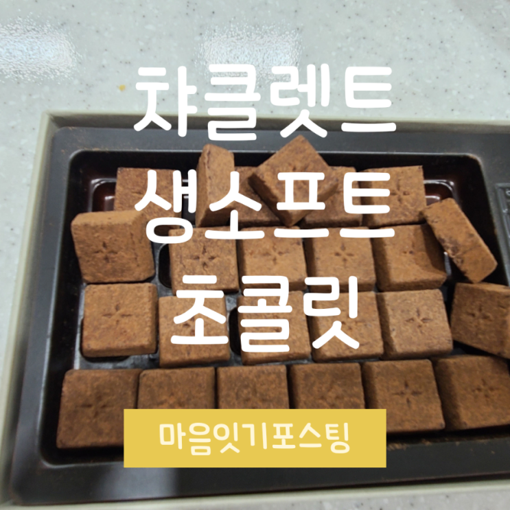  소프트 챠클넷트 초콜릿 후기