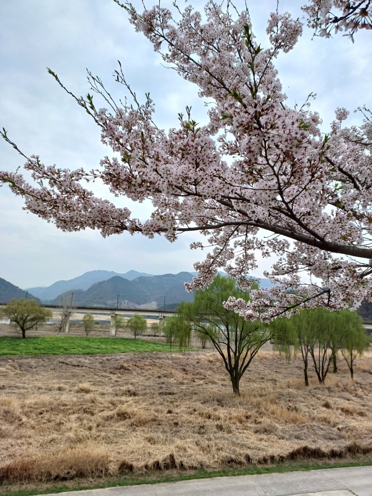  동강뷰로  커피를 마시며~~