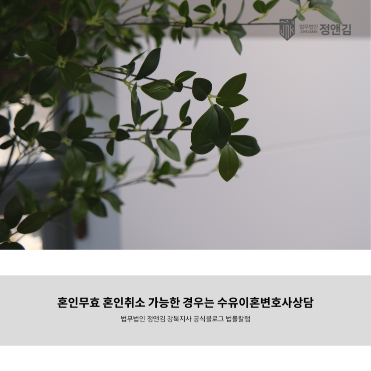  혼인무효 혼인취소 가능한 경우는 수유이혼변호사상담
