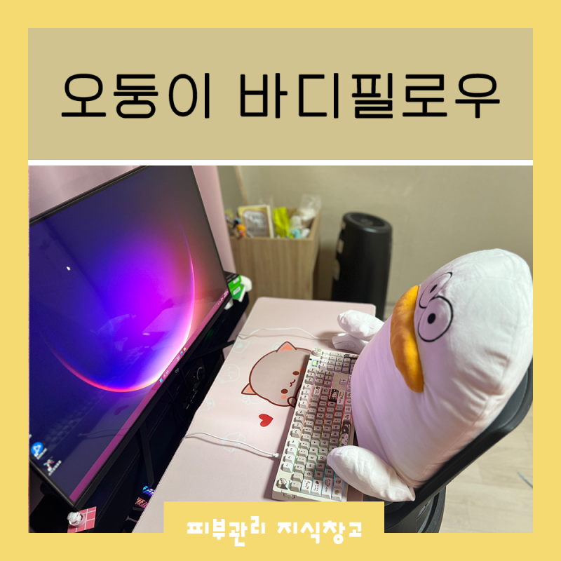 "오둥이 입니다만"숙면을 위한 100cm 오둥이 모찌 바디필로우 추천