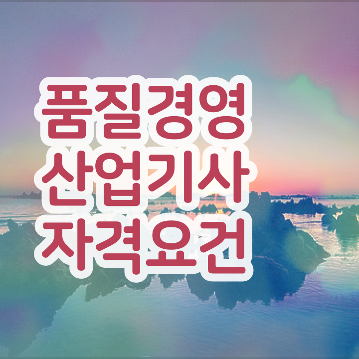  품질경영산업기사 실기 품질경영산업기사 시험응시자격 무자격 비전공자도 학은제 동영상만 듣고 손쉽게 완성했던 노하우