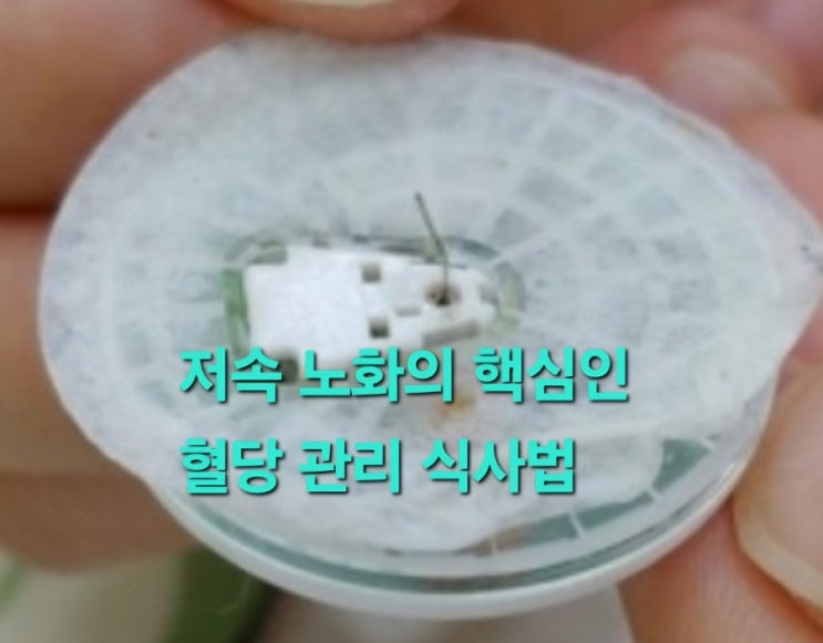  저속 노화의 핵심인 혈당 관리 식사법