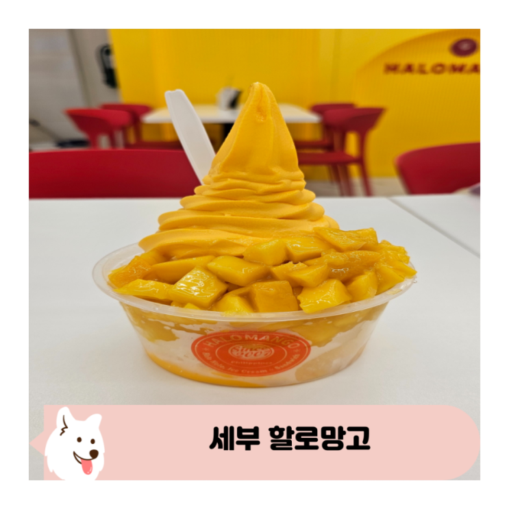  세부 제이파크 샹스몰 디저트 맛집 할로망고 추천