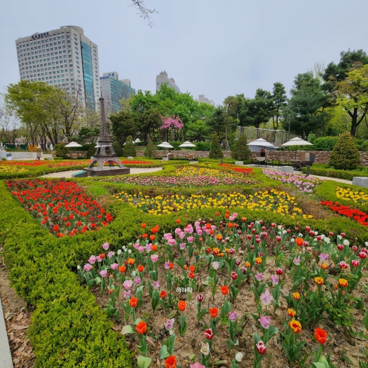 파리공원 튤립 꽃구경 주차 서울 나들이